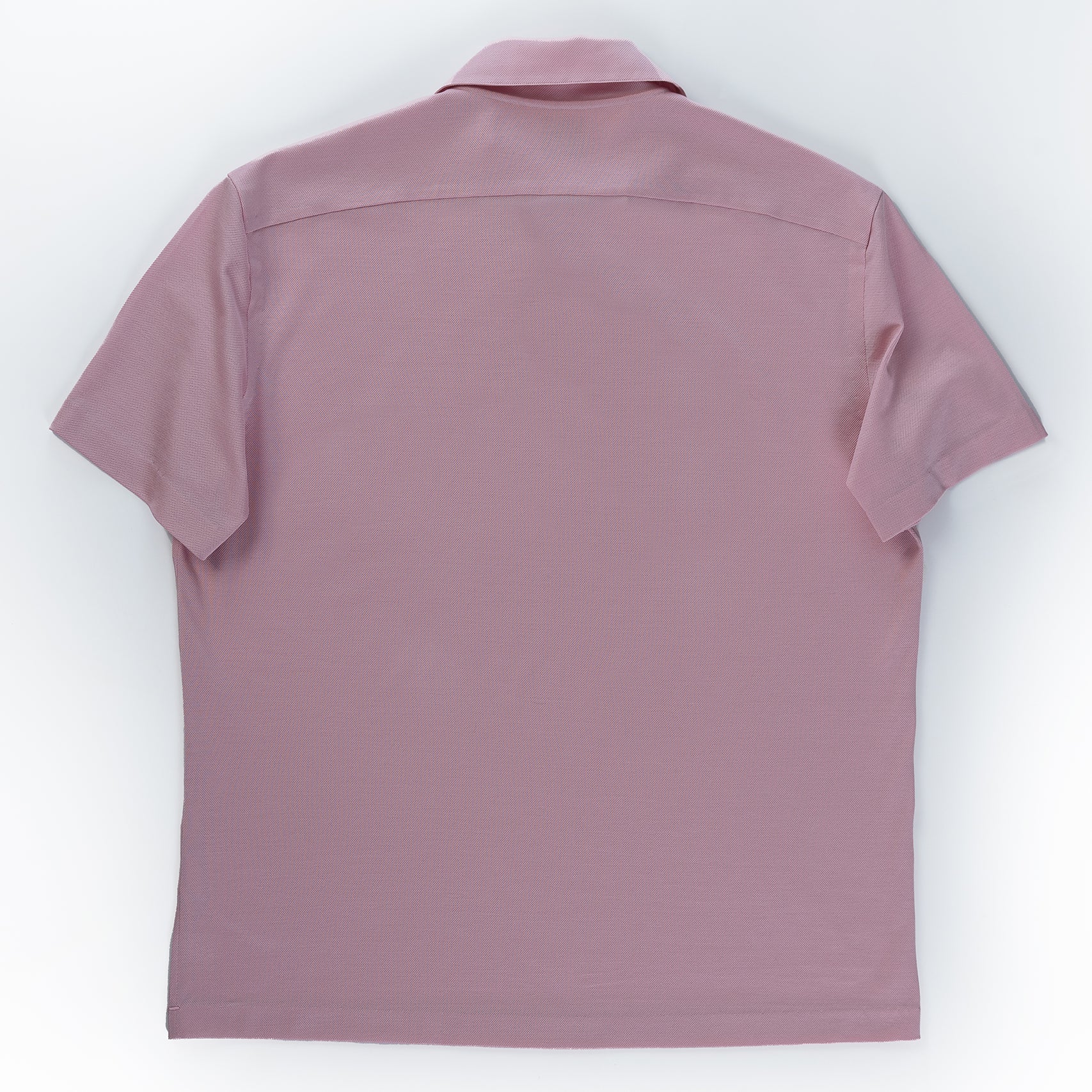 Polo Filo di Scozia